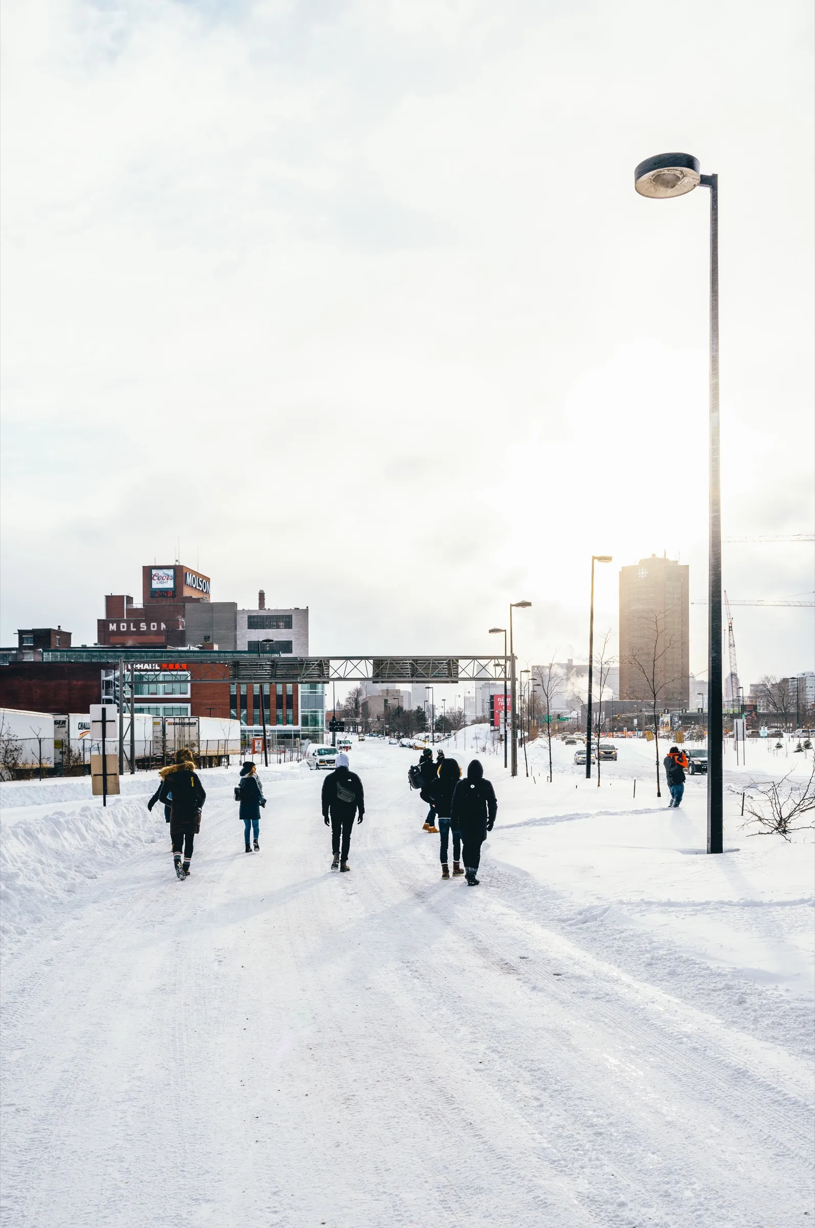 Un groupe de photographes marche sur un chemin enneigé